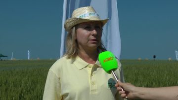 мариела йорданова