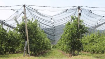 оващна градина агро тв българия