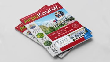 Mockups Design