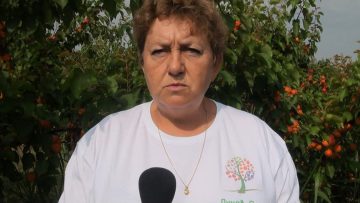 Димитричка Търпанова, заместник-председател на Добруджански овощарски съюз