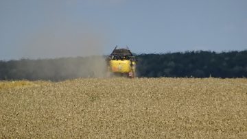 жътва на поле с ню холанд