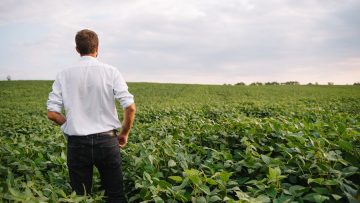 Portrait of young farmer standing in soybean field.