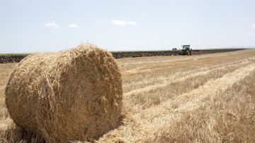 Emisia novini agro tv zemedelie