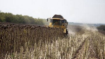 borsova-informatsia-zhatva-slanchogled