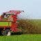 fertilize-62416_960_720