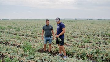mladi fermeri darzhavna pomosht agrofinansirane-66