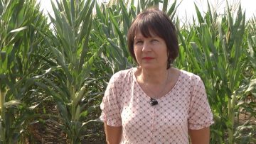 Детелина Симеонова, адвокат