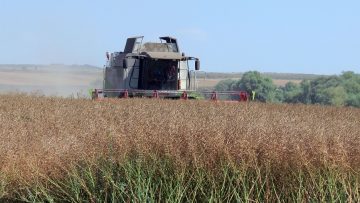 жътва рапица добричко агро тв