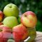 apple-5651183_960_720