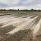 emisia novini agro tv navodnenie agropolitika-22