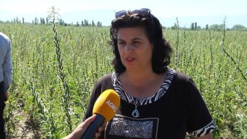 rastenievadstvo agrarna nauka zemedelie-1