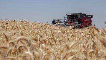 rastenievadstvo novini rekolta agrosvyat