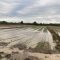 ЩЕТИ: Трудно е все още да бъдат описани в района на село Трилистник