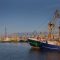 Fishing boats at Port of Harlingen Friesland. Harbour. Waddenzee