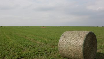 agroforum zelena sdelka hrana-1