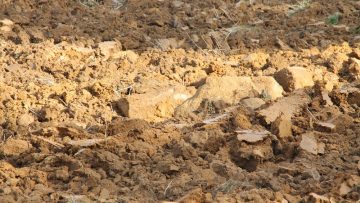 agroprognoza pochva susha_3