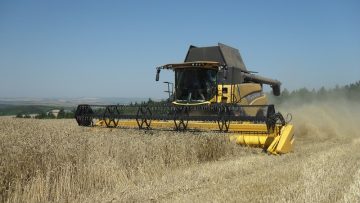 borsa pshenitsa zarno agro tv