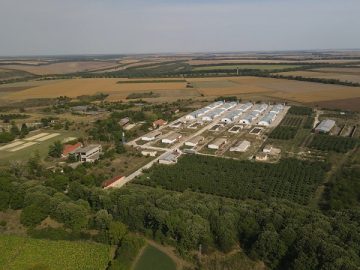 film tutrakan slivo pole zemedelie