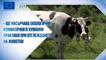 newcapoct01