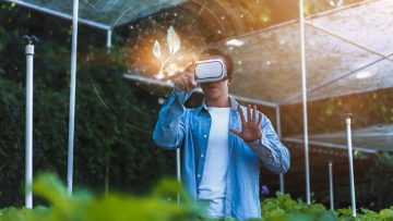 Farmer farming hydroponic vegetable and plant using modern AI vi