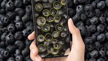 White wine grapes in a market