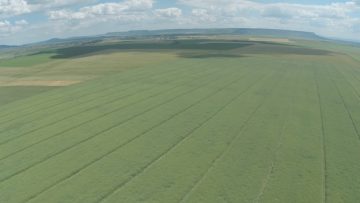 emisia novini na Agro TV zemedelie