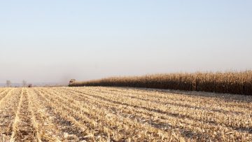 novini agrotv _6842