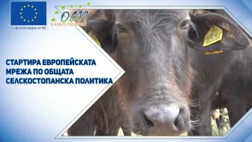 osp-net-agrotv