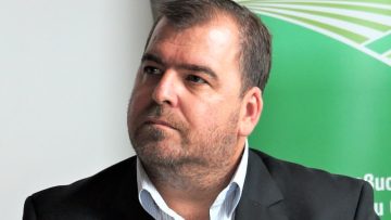 явор гечев