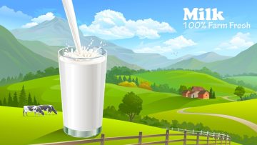 Fresh milk straight from the farm