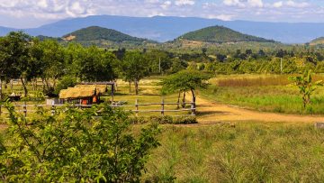 The countryside in Kampot region, Cambodia
