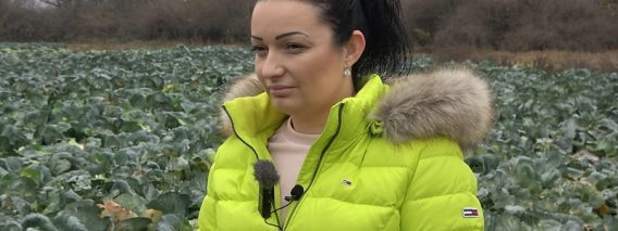Десислава Кабурова - с наградата на ЕП за млад фермер на годината.Какво седи зад аплодисментите?