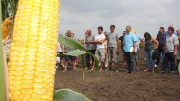 agroforum fermeri zemedeltsi 1411
