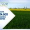 Във фокуса на новата ОСП ще са малките и семейни ферми