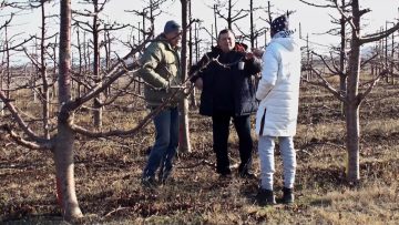 ovoshtarstvo zemedelie pazari plodove-445