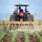 soil-386749_960_720