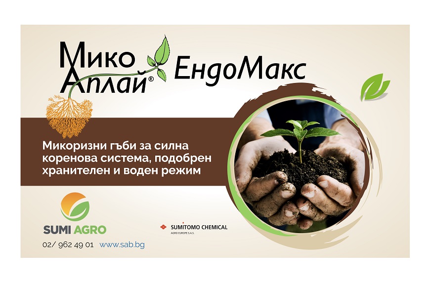 МикоАплай® ЕндоМакс – развитие при суша чрез микоризни гъби