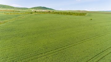 Dagroprognoza pshenitsa pochva zemedeltsi vreme 0751