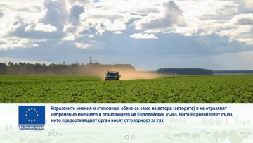 neopix fotografia | erich sacco