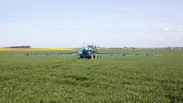 agroprognoza pshenitsa slanche toplina 0702