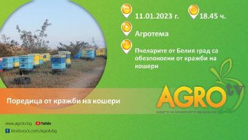 agrotema pchelari 110123