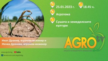 agrotema susha 2023-01-25