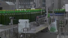 biznesforum bira razsad industria