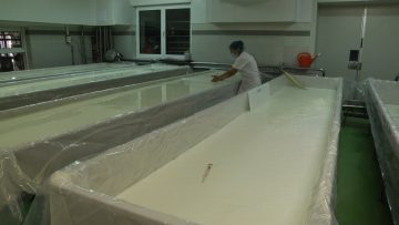 mandra bio sirene kashkaval mlyako agrotv