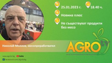 novina plyus meso 2023-01-25