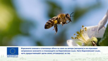 oprashiteli1-osp