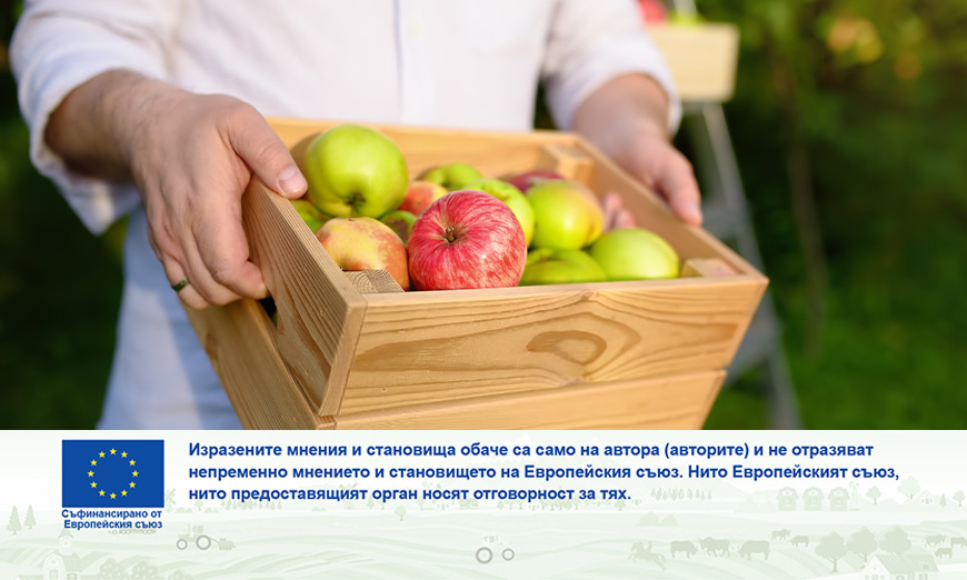 Коопериране на малки стопанства в Словения