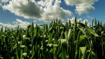 emisia novini zimni praskania agrosektor agrotv