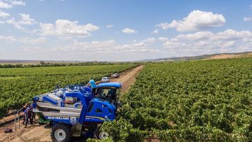 loze agronovini zemedelie 0473