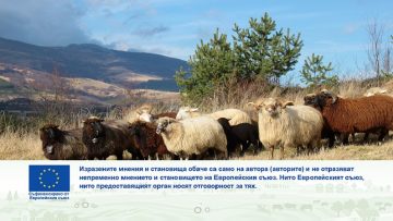 ovtse emisia agrotv agronovini-9999